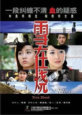 《雪在烧 2007》：冰冷外壳下的炙热情感，一段关于救赎与爱的故事