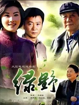 《绿野》影评：迷失与救赎的西部史诗，一部关于土地、信仰与人性的深刻拷问