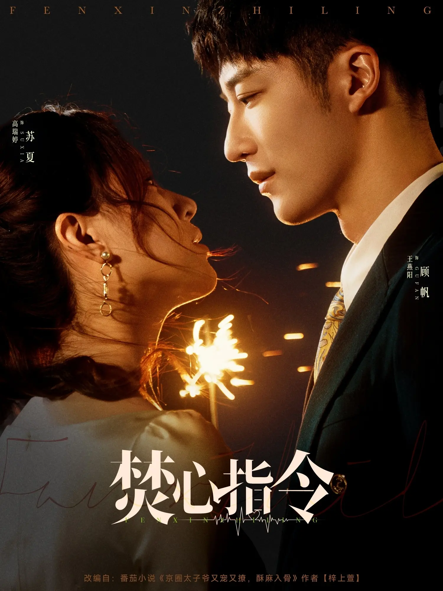 《焚心指令》：一部关于金钱欲望的致命诱惑，看完让人心惊胆战！