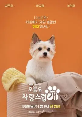 《今天也很可爱的狗》：这群钉刺者们，剧情离谱得让人想原地封神！